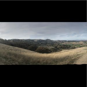 Meet your Posher, Baylie